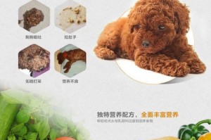 博美营养不良的治疗方法（选择正确的药物是关键）