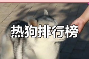 救命！狗狗中暑了怎么办？（狗狗中暑后应该吃些什么来缓解？）