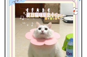 1分钟学会给猫咪驱虫喂药的方法（快速简便的给猫咪胃药的技巧）