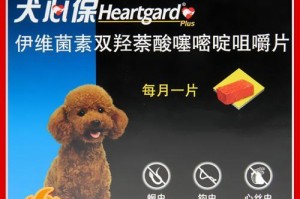 三个月狗狗肠道寄生虫的治疗药物及注意事项（了解肠道寄生虫药物的选择与使用，保护宠物健康）