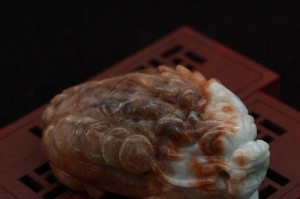 缅甸龟的食物喜好与饮食习惯（探秘缅甸龟的饮食世界）
