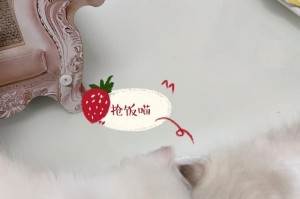 如何给一个多月小奶猫提供合适的饮食？（全面了解小奶猫的饮食需求，让它健康成长）
