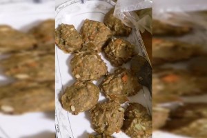 如何为宠物狗制作健康狗粮（自制狗粮，让你的宠物更健康）