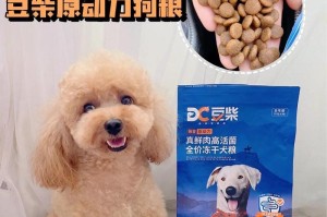 九个月大的狗狗适合吃什么狗粮？（为你的爱宠提供健康与营养的选择）