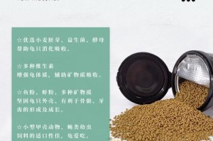 小乌龟的饲料选择（合理饲养小乌龟的关键）