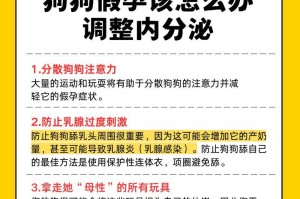 狗的怀孕周期和检测方法（如何确定狗的怀孕时间和使用可靠的检测方法）