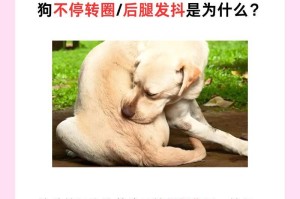 揭秘狗狗为何喜欢转圈拉屎的奥秘（探寻狗狗行为背后的真相，解释为何会有这种习惯）