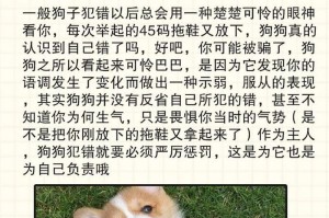 犬病嗅探研究（探索狗嗅觉的神奇能力及其在医疗领域中的应用）