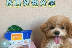 滴完福莱恩需要多久才能洗澡？（探究滴完福莱恩后洗澡的最佳时机及注意事项）
