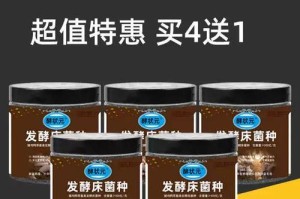 阳台上的宠物乐园（发掘阳台养宠物的无限可能）