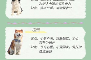 金毛掉毛的时间和原因（了解金毛掉毛周期，有效应对掉毛问题）