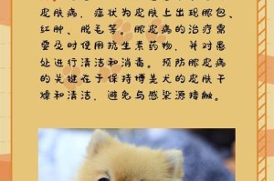狗狗过敏原因及解决方法（了解狗狗过敏的主要原因与应对之策）