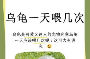 乌龟过食的危害及预防方法（保护乌龟健康，合理喂养乌龟是关键）