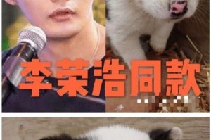 探索狗的眼睛小的好处（揭秘狗眼中的奥秘，解读小眼睛的优势）