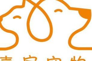 十堰宠物医院大揭秘！（了解十堰宠物医院的种类、服务和质量）