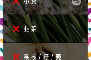 狗狗的饮食注意事项——如何正确喂养你的爱宠（合理的喂养频率和注意事项，）