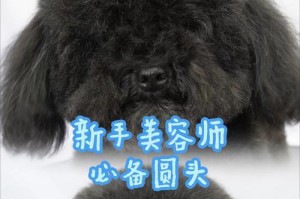 宠物美容喷——打造宠物的时尚造型（呵护宠物外貌的新选择，让宠物焕发青春活力）