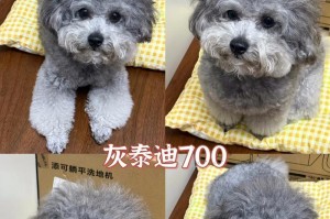 狗狗断奶的最佳时间和方法（了解狗狗的生长发育，合理选择断奶时间）