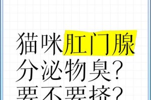 猫咪的肛门腺（肛门腺问题的常见原因及清理技巧）