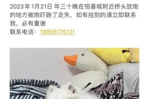 如何训练博美狗叫声（提高博美狗叫声质量的技巧与方法）