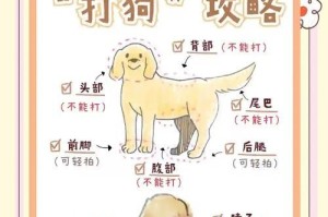 训狗多久才合适？（探讨每天适宜训练狗的时间和频率）