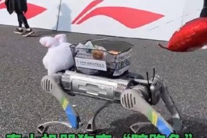 狗中的“兔子犬”——什么品种的狗跑起来像兔子？（揭秘狗界速度之王，寻找兔子般的犬种。）