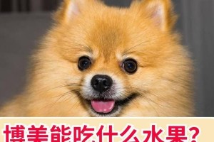 两个月大的博美犬饮食指南（健康成长的关键营养与饮食习惯）