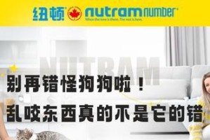 狗为什么总咬东西？如何解决这个问题？（了解狗咬东西的原因，掌握有效的训练方法）