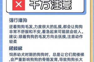 遛狗时间的合适之道（探讨遛狗时长的最佳选择与关键要点）