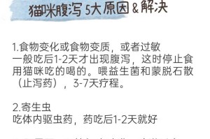 猫咪拉稀的常见原因及解决办法（保持猫咪健康的关键-解决猫咪拉稀问题）