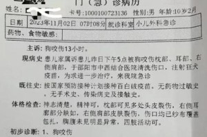 幼犬为何咬人（探究幼犬咬人行为的原因及应对方法）