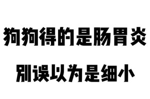 狗狗得细小，了解症状及应对方式（细小病毒的危害与控制，帮助你保护你的狗狗健康）
