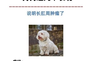 狗狗的行为揭示了什么？（通过观察狗狗的表现，我们能得出哪些信息？）