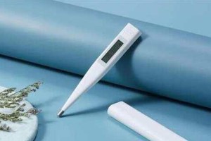 测量泰迪狗体温的时间究竟需要多久？（探索泰迪狗体温测量的最佳方法和时间）