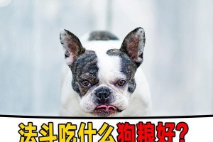 法国斗牛犬孕期饮食需注意的关键事项（科学饮食助力法国斗牛犬健康怀孕）