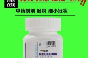 狗狗拉肚子吐的治疗药物推荐（维持狗狗健康的关键所在）