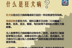 两个月小狗的常见疾病及预防措施（探讨两个月小狗易患病症及相关防护关键）