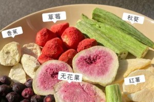 狗狗零食的最佳时间是什么时候？（了解狗狗零食的最佳时间安排，让宠物更健康快乐）