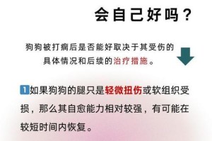 狗狗腿骨折（了解狗狗腿骨折的恢复时间和护理方法）