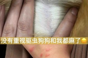 揭秘狗狗身上蜱虫的奥秘（探索为何狗狗容易被蜱虫寄生，如何预防和处理）