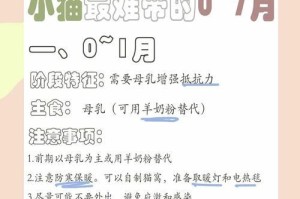 猫奶的替代品——为你的猫咪选择正确的营养来源（关注猫咪健康，了解替代品的优劣势）