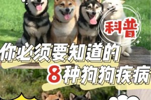 狗狗流鼻血的原因及医疗方法（探究流鼻血原因，详解狗狗流鼻血的治疗方法）