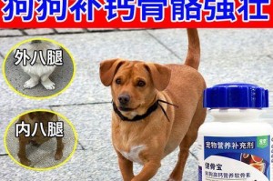 如何治疗宠物狗缺钙问题（缺钙治疗方案和时间分析）