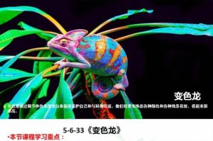 高冠变色龙的饲养指南（幼体饲养的注意事项和喂食要点）