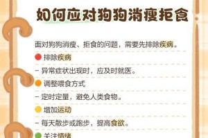 如何帮助瘦狗增肥？（有效方法和注意事项，让你的狗狗健康增肥）