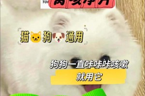 狗狗打喷嚏需要多久才能康复？（探究狗狗打喷嚏康复的时间及注意事项）