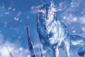 探索哈士奇与狼的相似之处（以面容为准，哈士奇更像狼的关键特征是什么？）