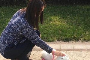 兔子的溜养时机（探讨兔子适合溜的时间和方法）