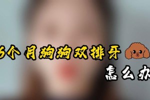 狗狗双排牙问题的原因及解决方法（了解双排牙问题，让狗狗的口腔健康无忧）