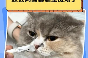 猫猫驱虫后的消化系统恢复时间（探讨猫猫驱虫后腹泻问题及解决方法）
